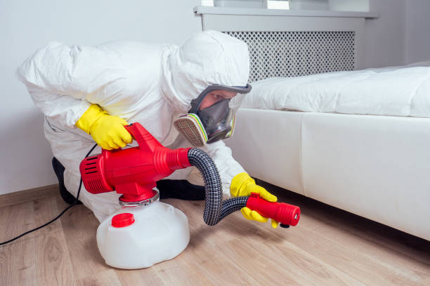 Real Estate Pest Inspections in Collegeville, PA